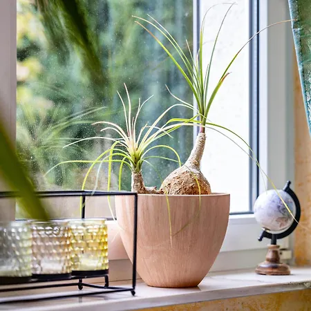 Schoenes Mit Eigenem Bad 3* Альбштадт